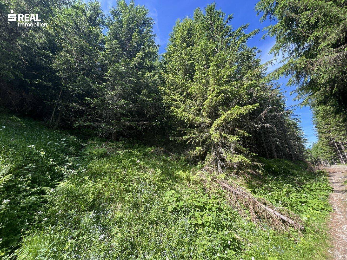 Slide 9