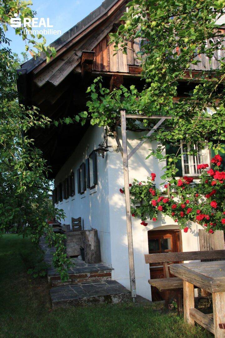 Seitlicher Zugang zum Haus mit Steinweg, umrankt von Weinreben und blühenden Rosen.
