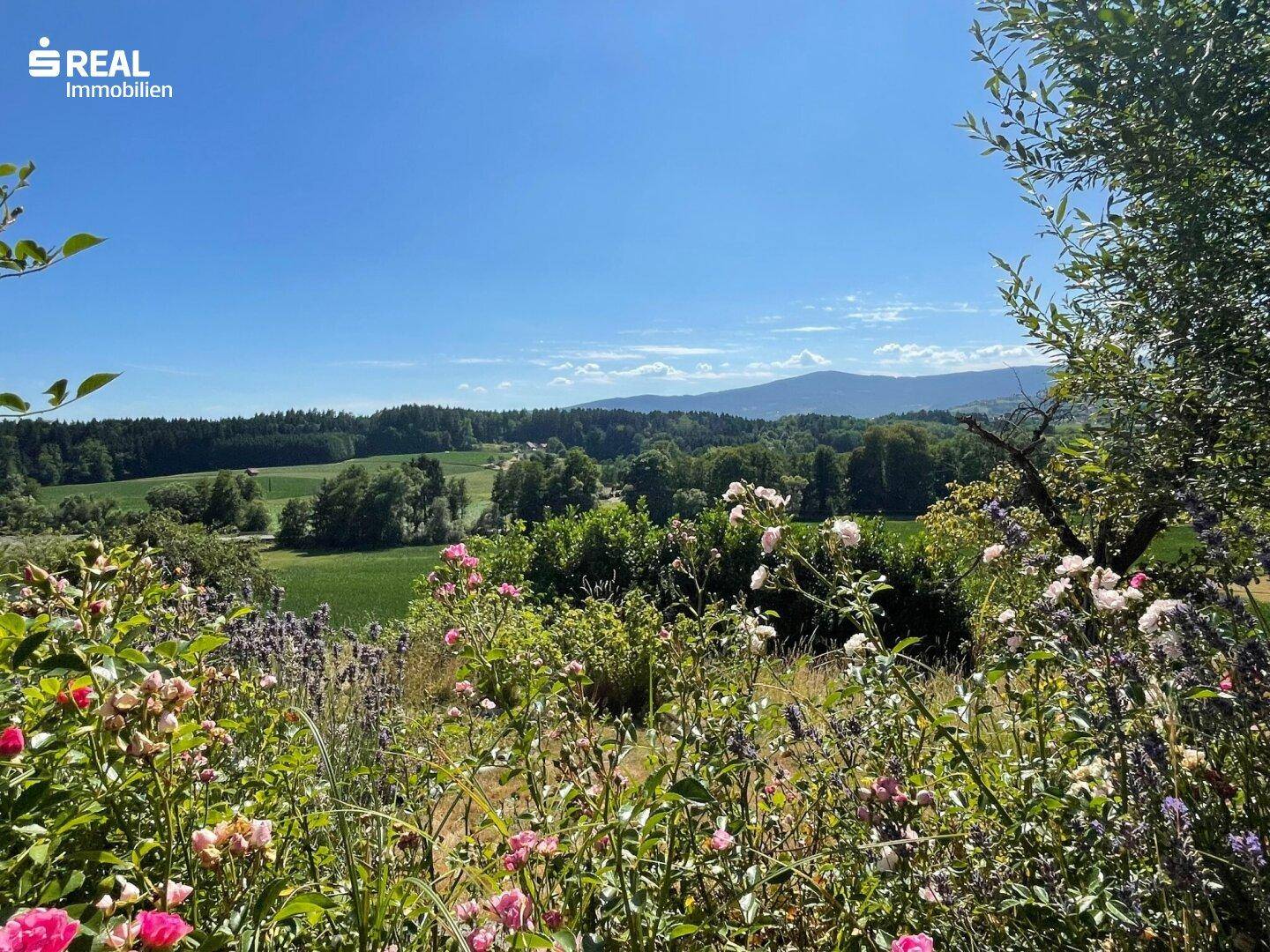 Malerischer Ausblick über die weite grüne Landschaft mit sanften Hügeln und Bergen im Hintergrund.