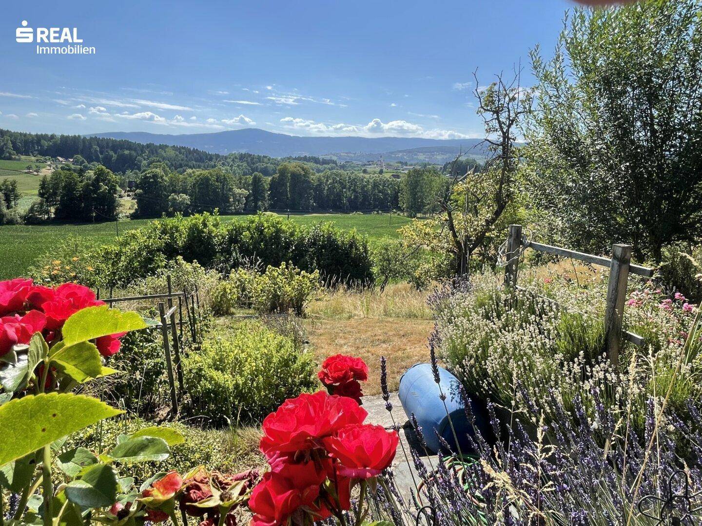 Weitläufiger Blick über blühende Gärten und Felder bis zu den fernen Bergen unter blauem Himmel.