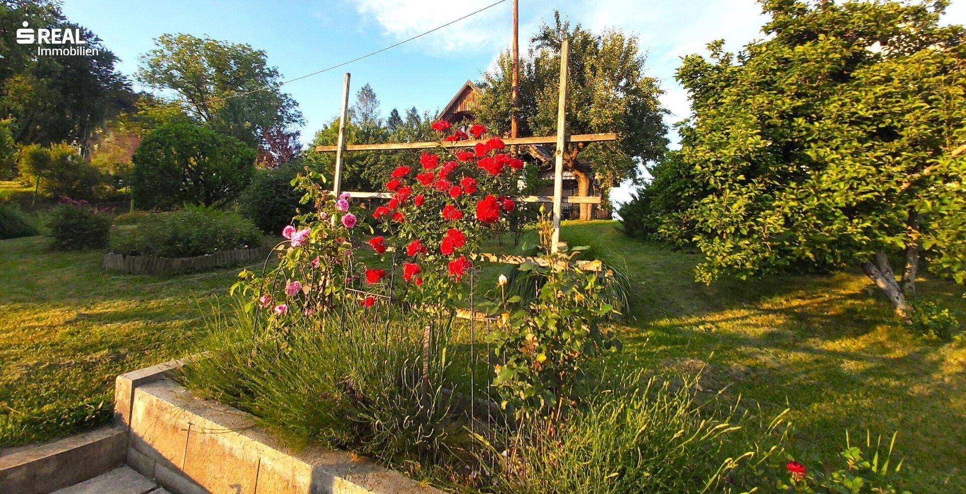 Gepflegter Gartenbereich mit Rosenbeet und weiteren Pflanzen, umgeben von Rasen und Bäumen.