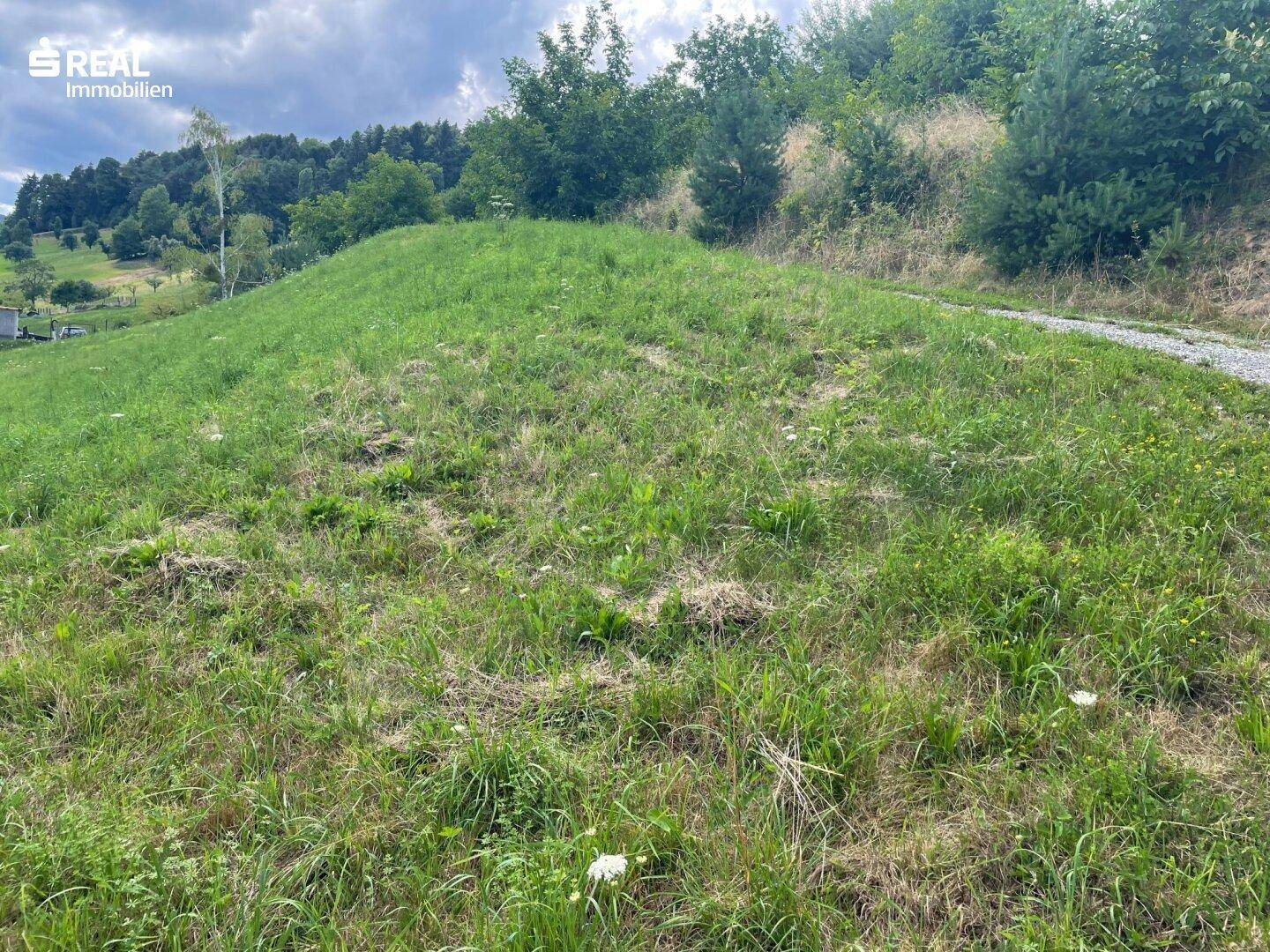 Weitläufige grüne Wiese mit leichtem Hang und einem Pfad, umgeben von Bäumen und ländlicher Bebauung.