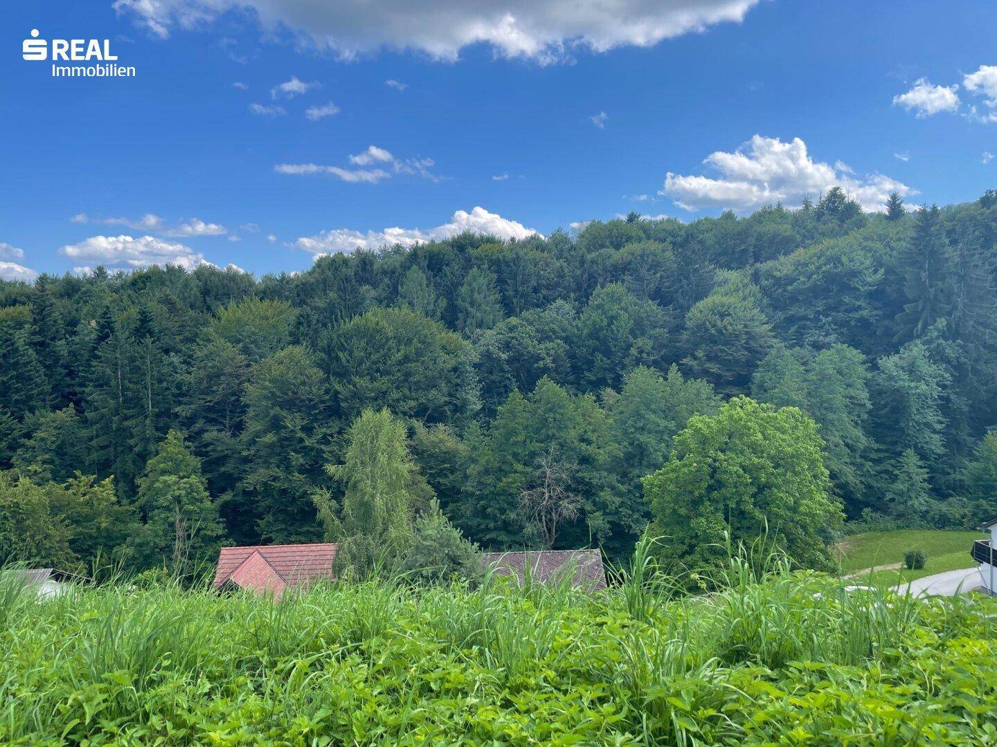 Panoramablick über eine grüne Wiese auf einen dichten Wald und einige Dächer unter blauem Himmel.