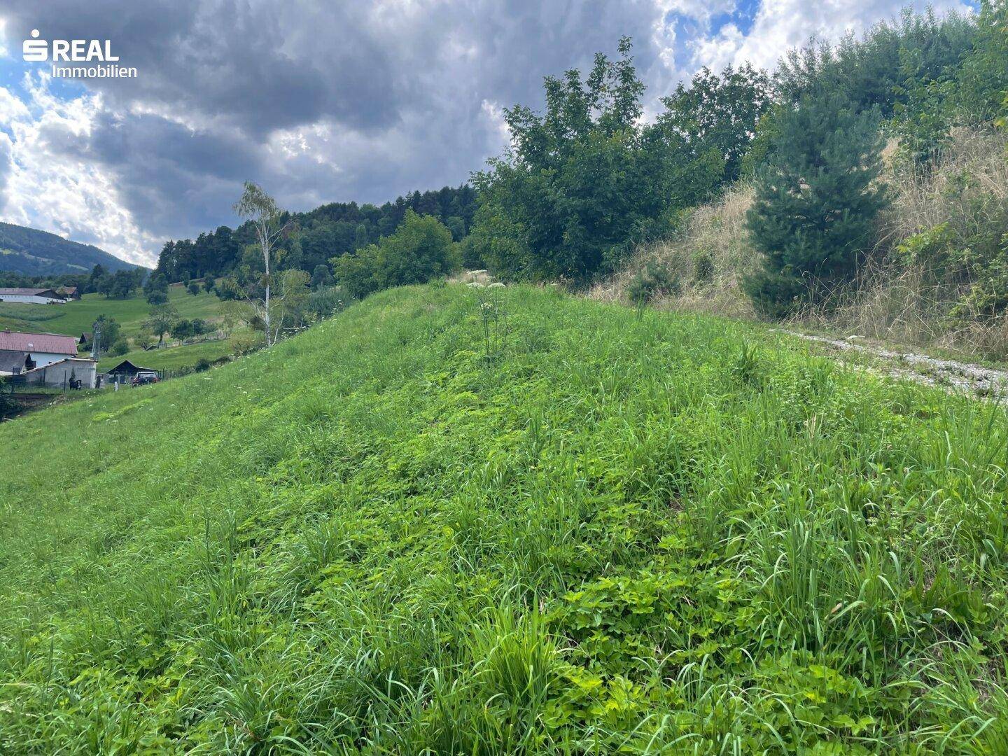 Grüne Hanglage mit üppiger Vegetation und einem Feldweg, mit Blick auf entfernte Häuser und Hügel.
