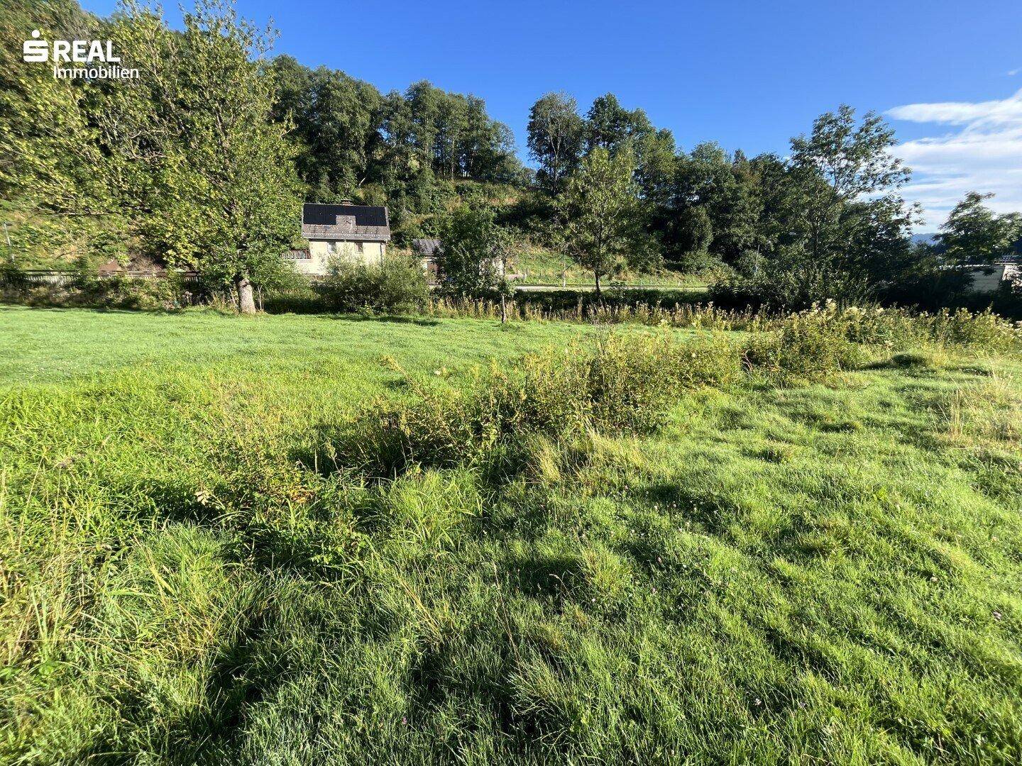 Grüne Wiesen und Bäume mit einem Haus im Hintergrund unter klarem Himmel.