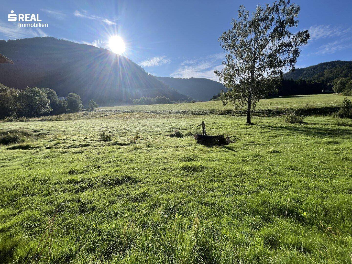 Sonnenaufgang über grünen Wiesen und Bergen mit einem einzelnen Baum in der Landschaft.