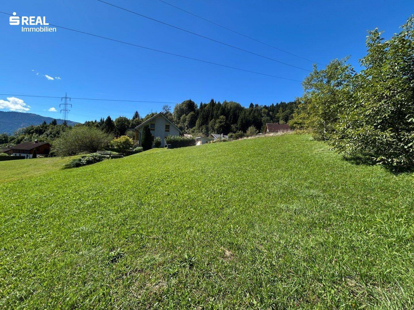 Slide 8