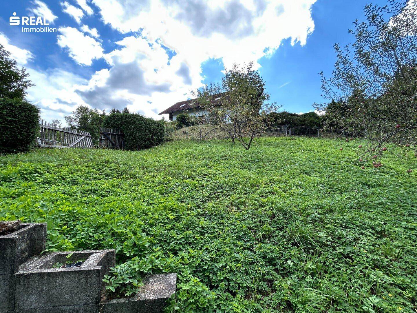 Weitläufige grüne Wiese mit Blick auf das Haus auf dem Hügel und weite Landschaft.