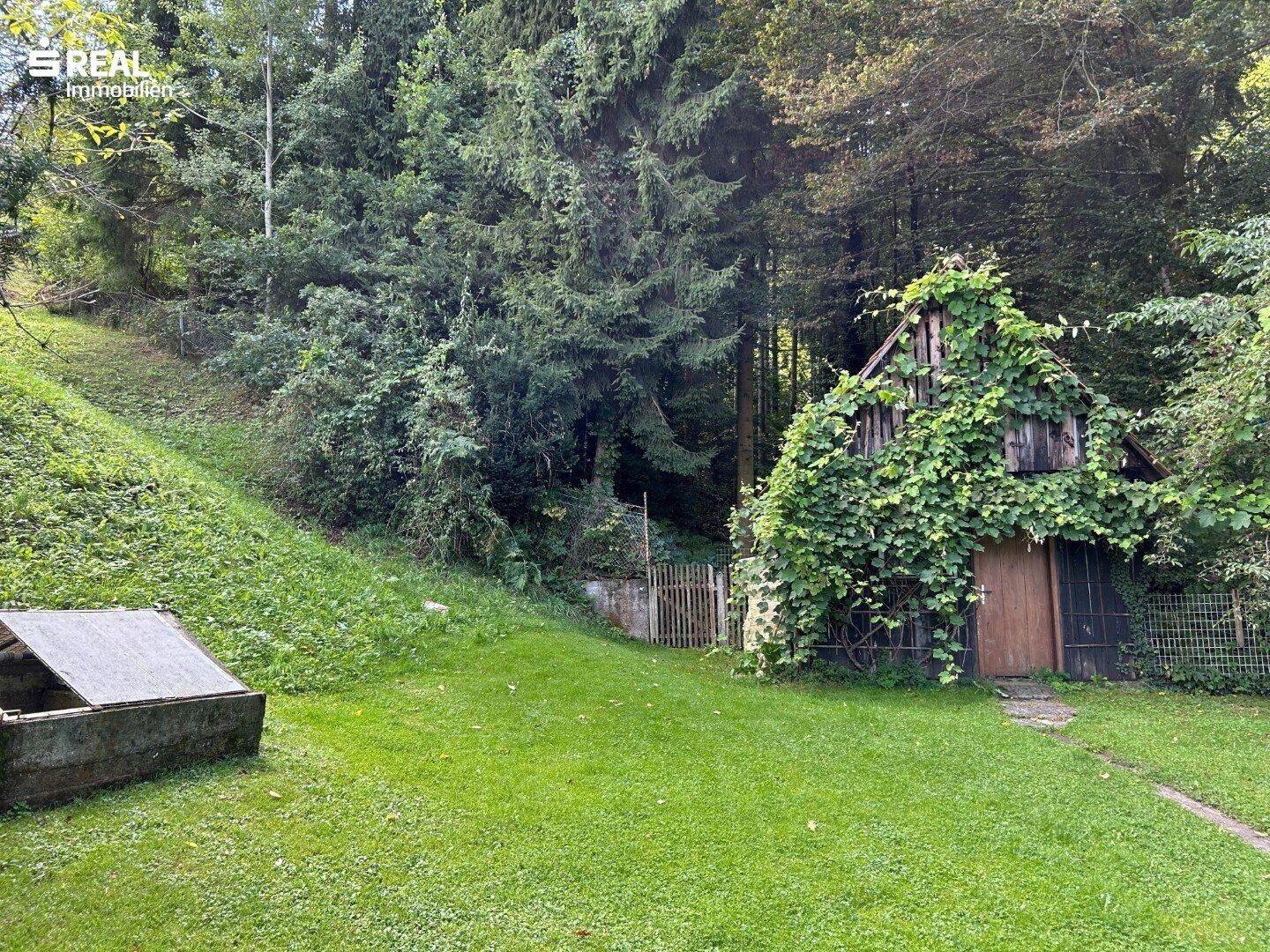 Naturbelassener Gartenbereich mit einem alten, bewachsenen Schuppen am Waldrand.