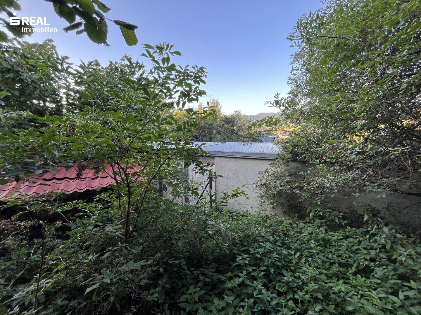 Teilweise von Bäumen verdeckter Gartenbereich mit Blick auf ein Nebengebäude.