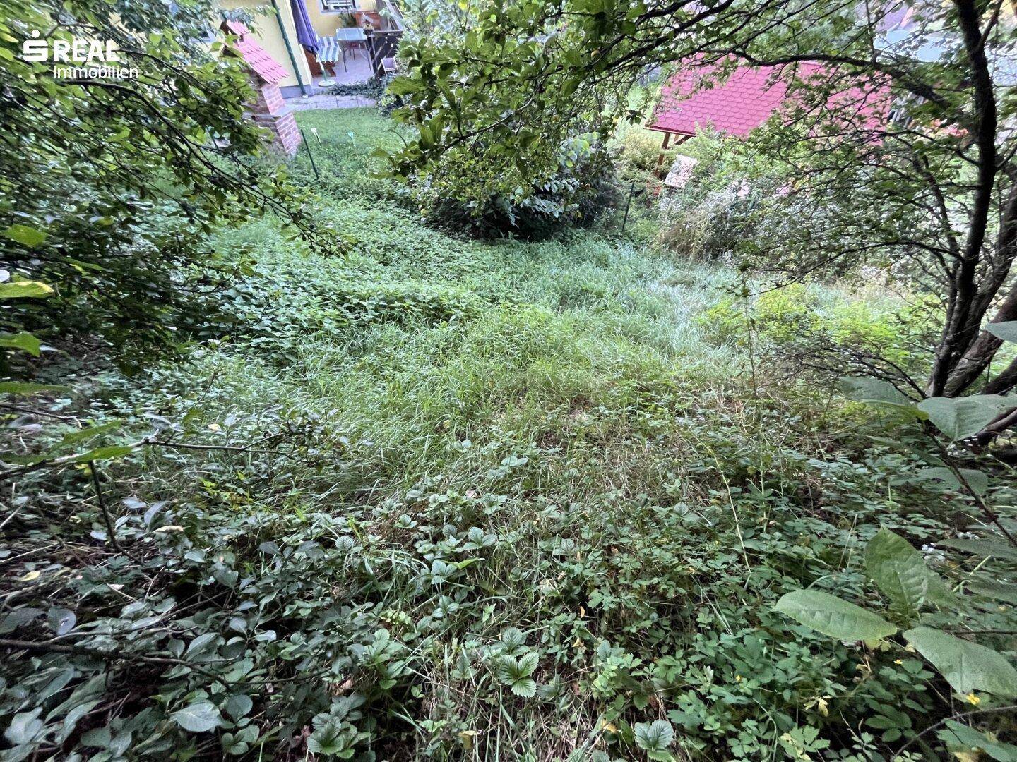Überwucherter Gartenbereich mit hohem Gras und Blick auf ein Wohnhaus im Hintergrund.