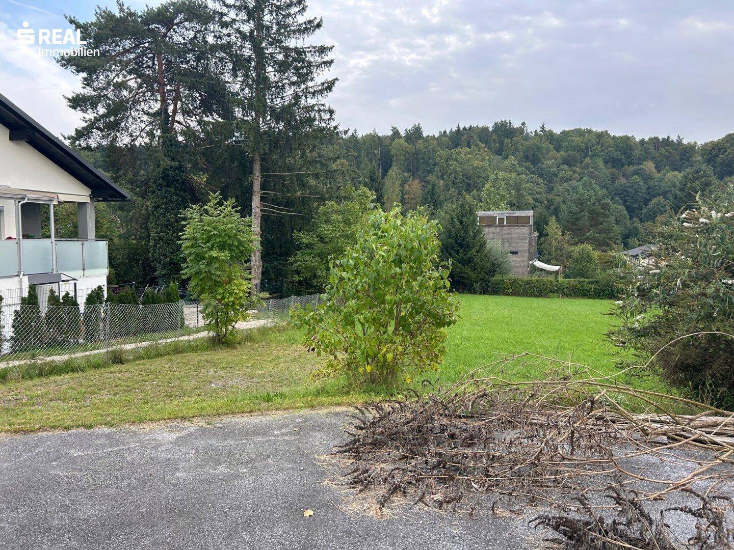Außenansicht des Grundstücks mit angrenzendem Gebäude, Rasenfläche und Wald im Hintergrund.