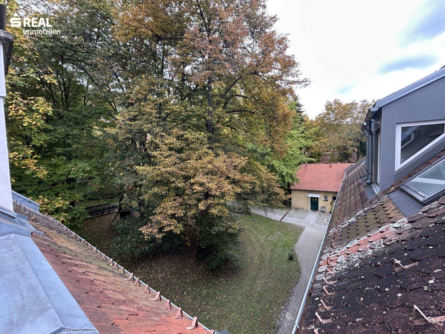 Slide 10