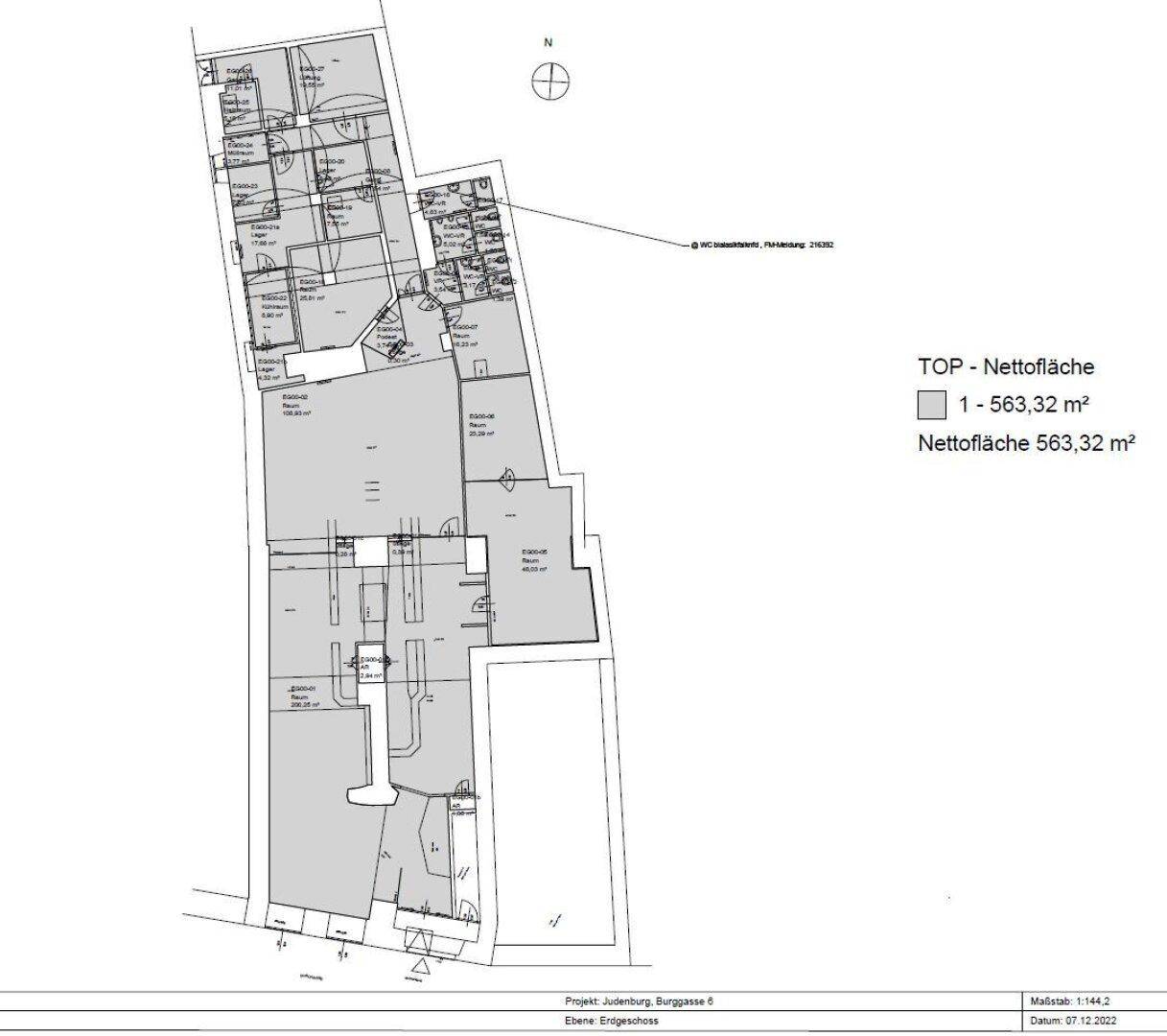 Detaillierter Grundriss des Erdgeschosses mit Flächenangaben und Raumaufteilung in Graustufen.