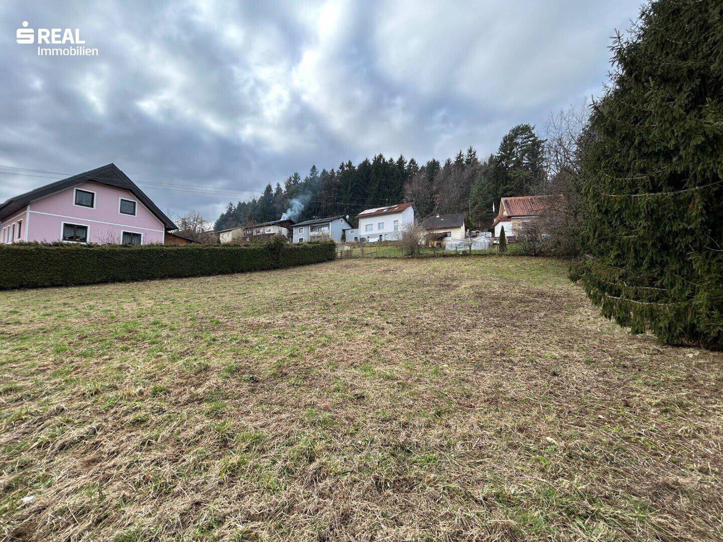 Offenes Grundstück mit weitläufiger Grasfläche, umgeben von grünen Hecken und Bäumen, mit Häusern im Hintergrund.