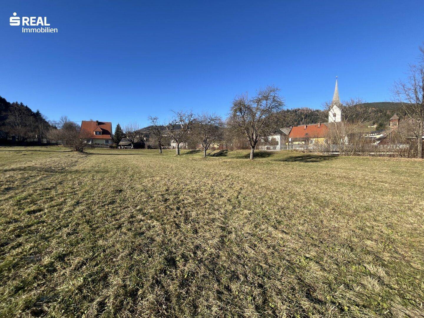 Weitläufige Grünfläche mit vereinzelten Bäumen und einem malerischen Dorf mit Kirchturm in der Ferne.