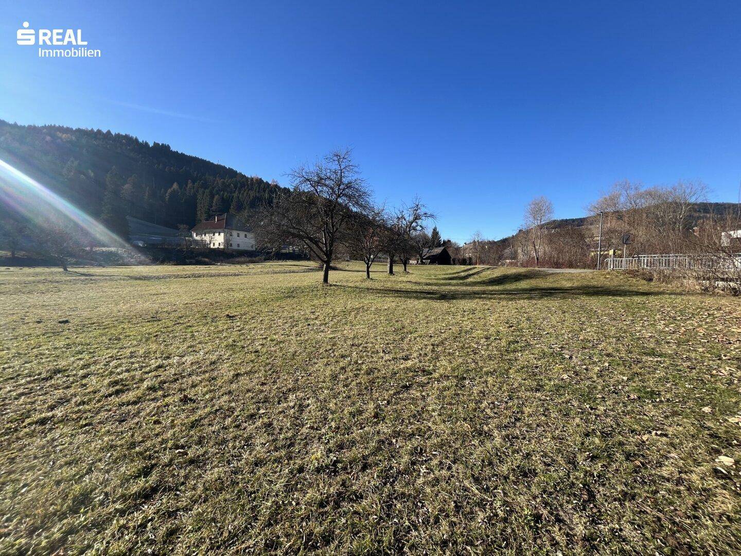 Offenes Feld mit Blick auf bewaldete Hügel und ein paar Häuser in der Ferne unter blauem Himmel.
