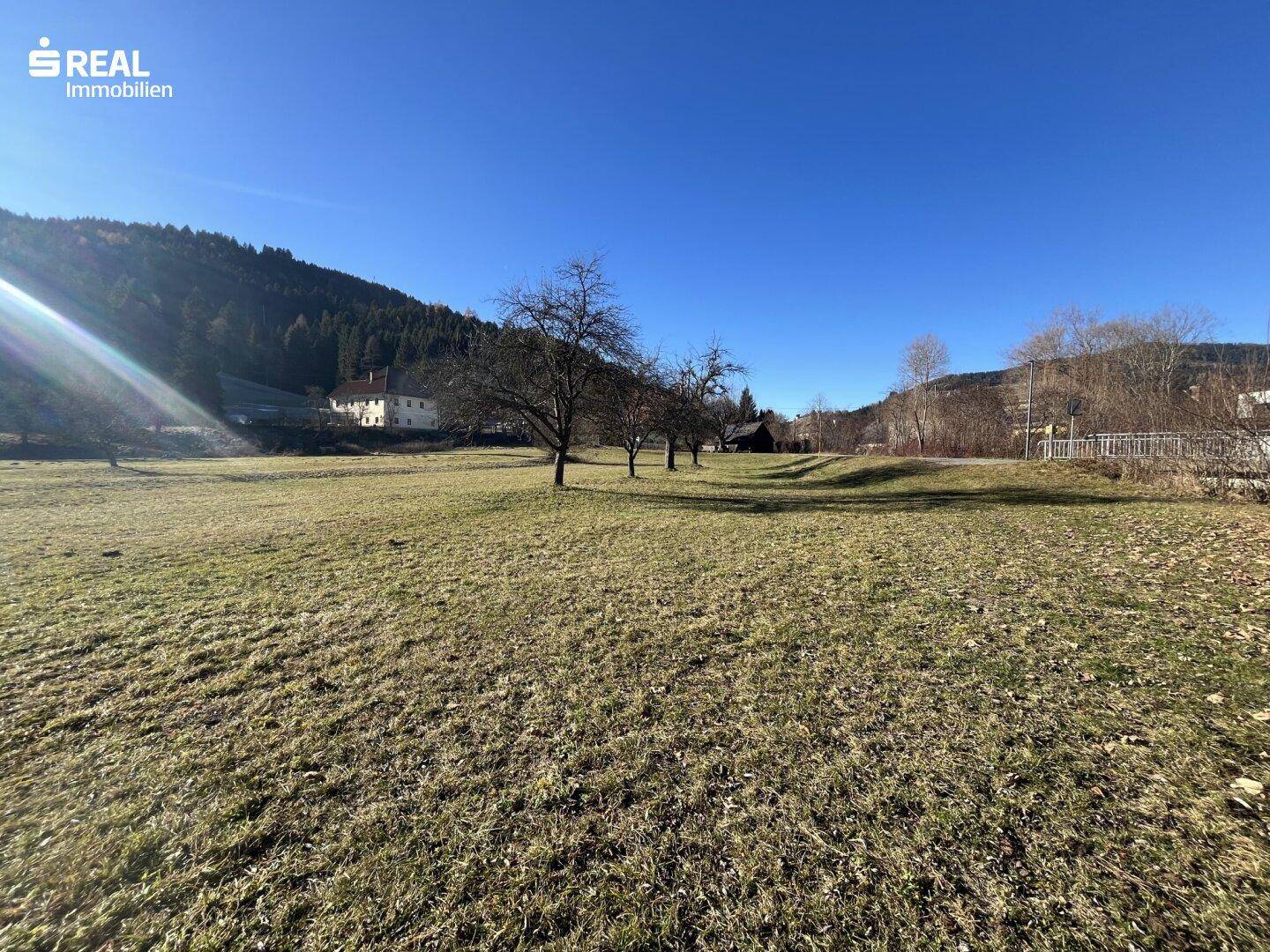 Weitläufiges Grundstück mit grüner Wiese, Bäumen und einem Panoramablick auf die umliegenden Berge.