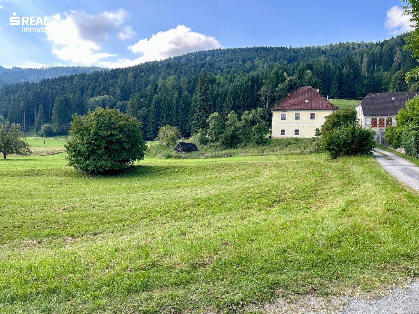 Großes grünes Grundstück mit Bäumen und einem Haus, umgeben von dicht bewaldeten Hügeln.