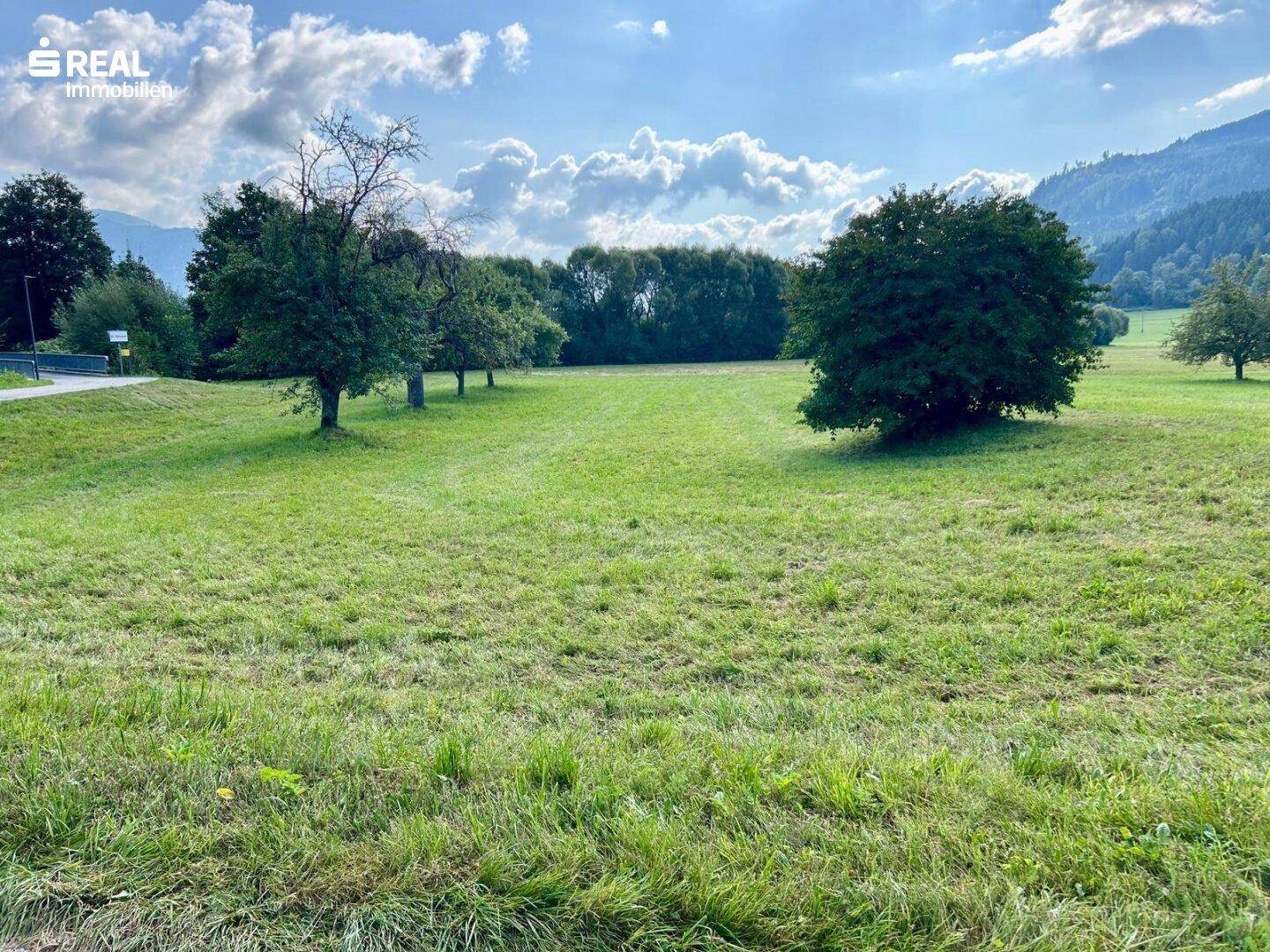 Weitläufige grüne Wiese mit Bäumen und einem Panoramablick auf die bewaldeten Berge unter blauem Himmel.