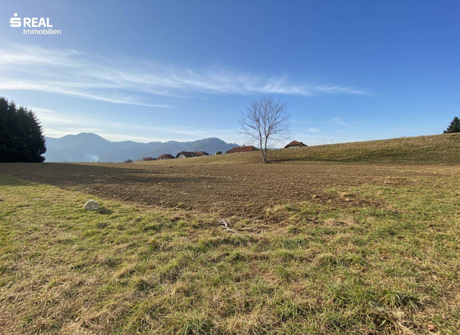 Sonniges, großzügiges Baugrundstück - Ansicht 2