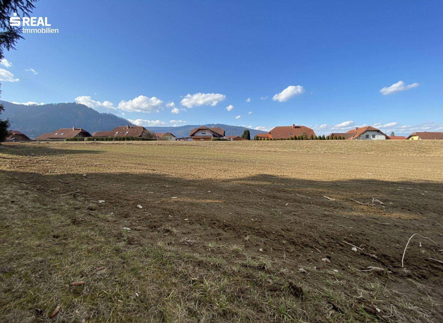 Sonniges, großzügiges Baugrundstück - Ansicht 3