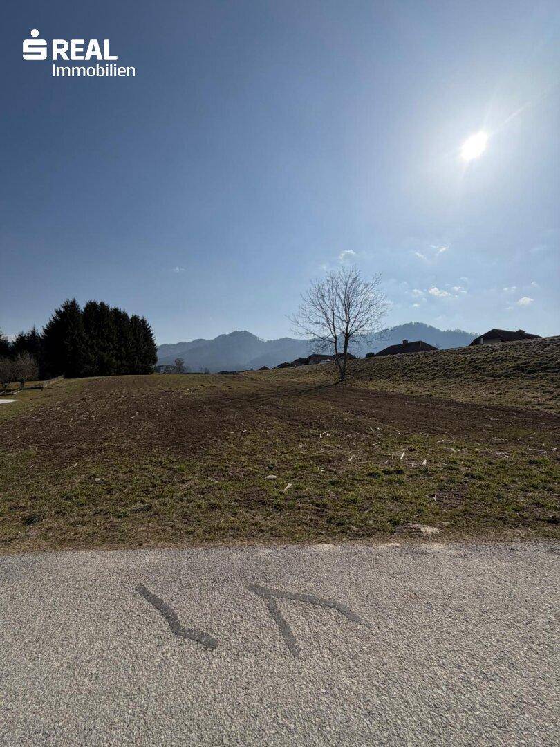 Weitläufiges Grundstück mit asphaltierter Zufahrt und klarer Sicht auf die Bergwelt.