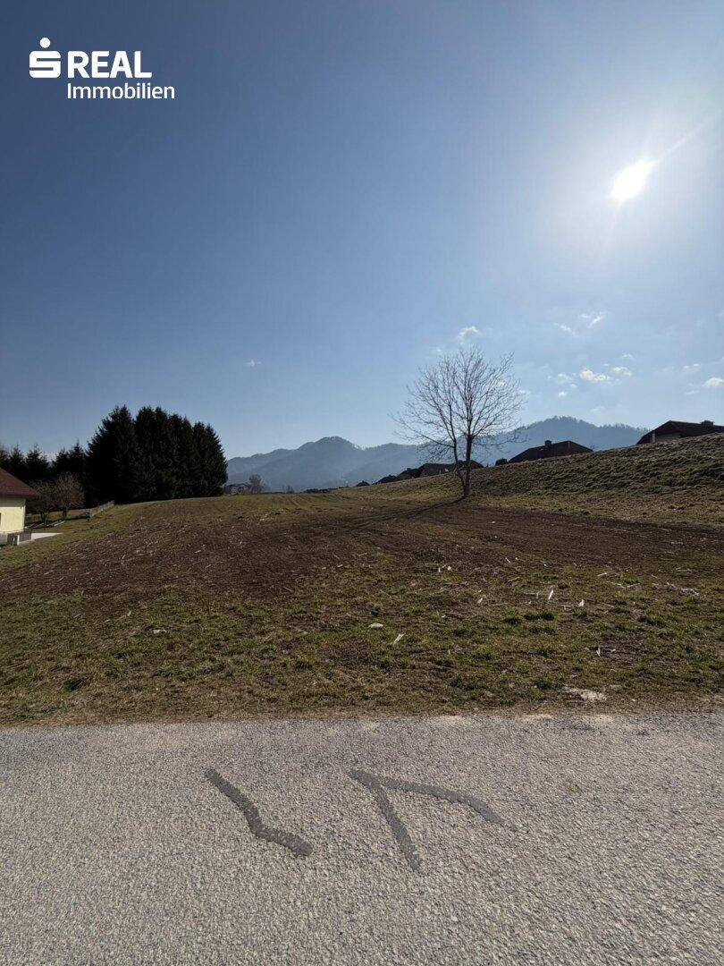 Sonniges Baugrundstück mit Zufahrtsmöglichkeit und malerischem Blick auf die Alpen.