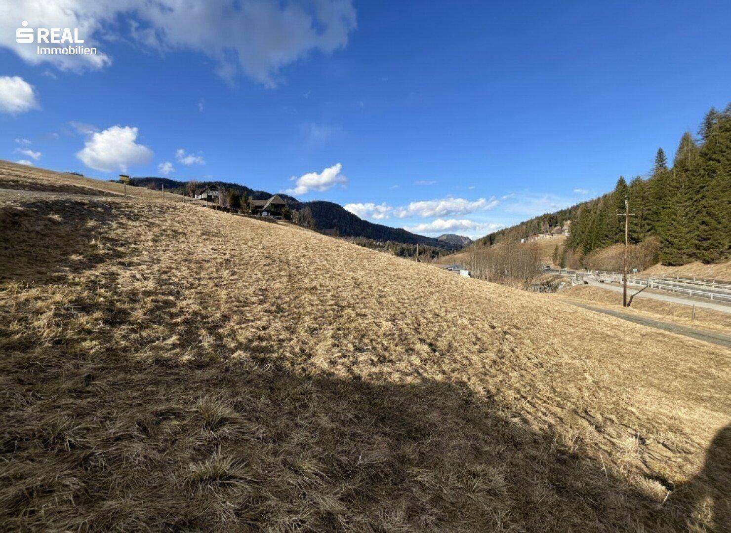 Abfallende Wiese mit einer Straße und Blick auf ein bewaldetes Tal mit Bergen im Hintergrund.