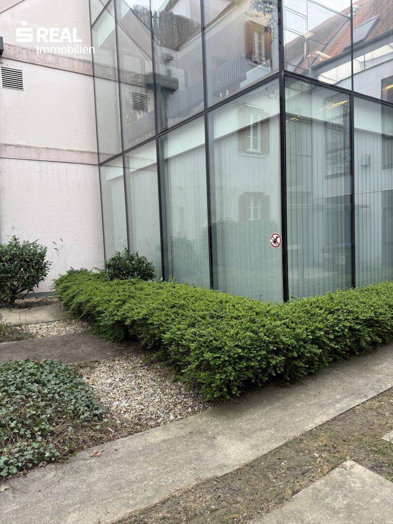 Detailansicht der Glasfassade und des gepflegten Außenbereichs mit Kies und niedrigen Hecken.