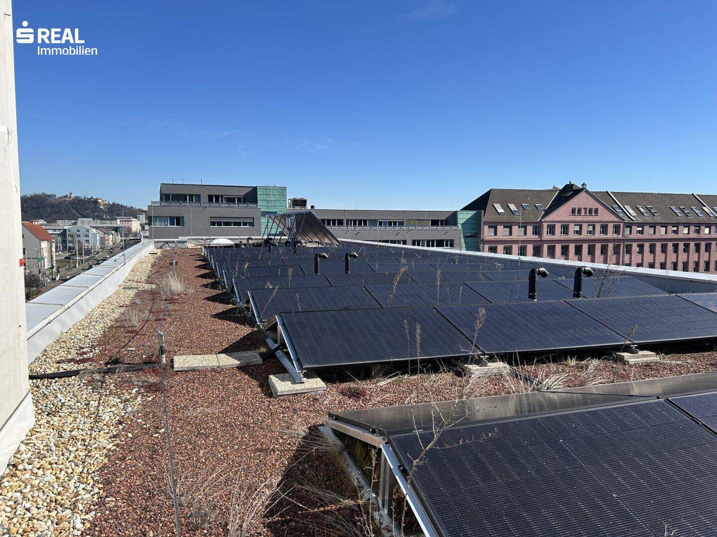 Dachfläche des Gebäudes mit Photovoltaikanlage und extensiver Begrünung.