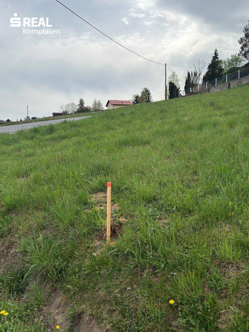 Top Gelegenheit: Baugrundstück in der Südsteiermark! - Ansicht 4