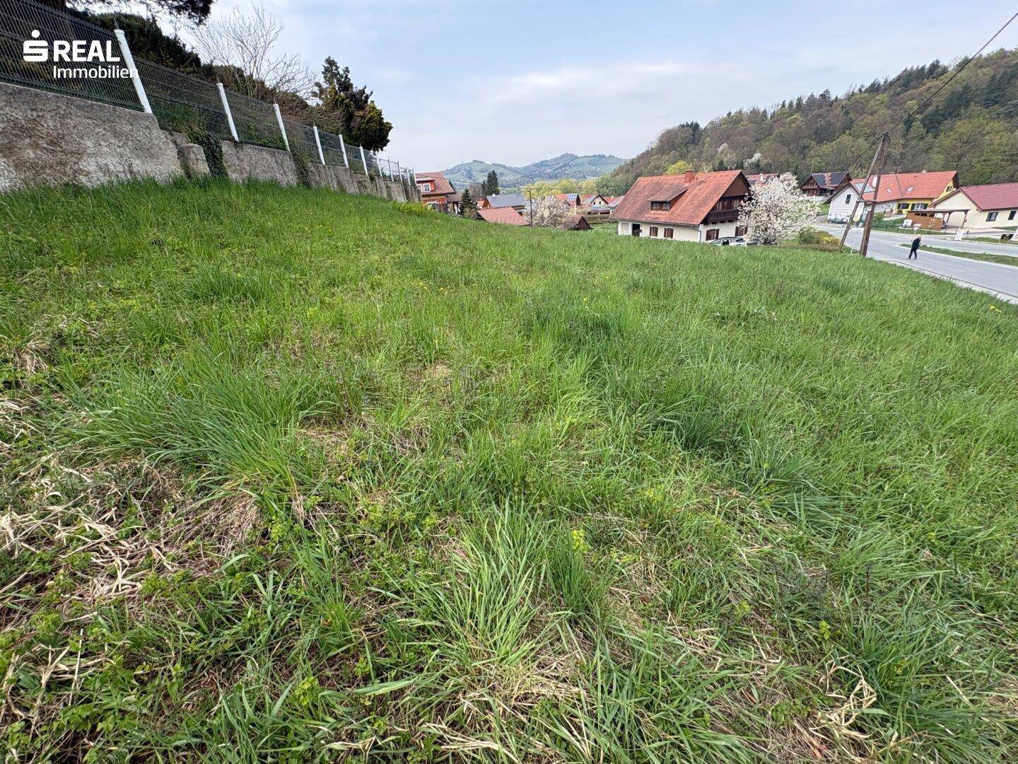 Top Gelegenheit: Baugrundstück in der Südsteiermark! - Ansicht 5