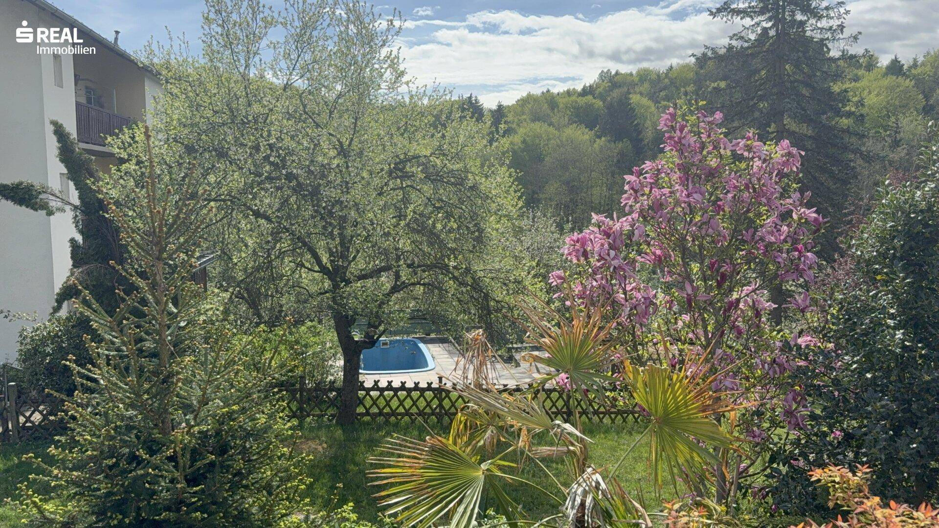 Grüner Gartenbereich mit blühenden Bäumen und einem sichtbaren Pool, umgeben von Natur.