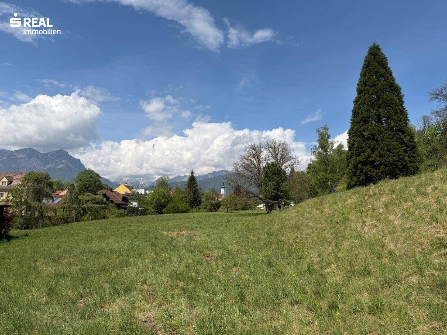 Hanglage mit weitem Blick über grüne Wiesen, hohe Bäume und die beeindruckende Berglandschaft.
