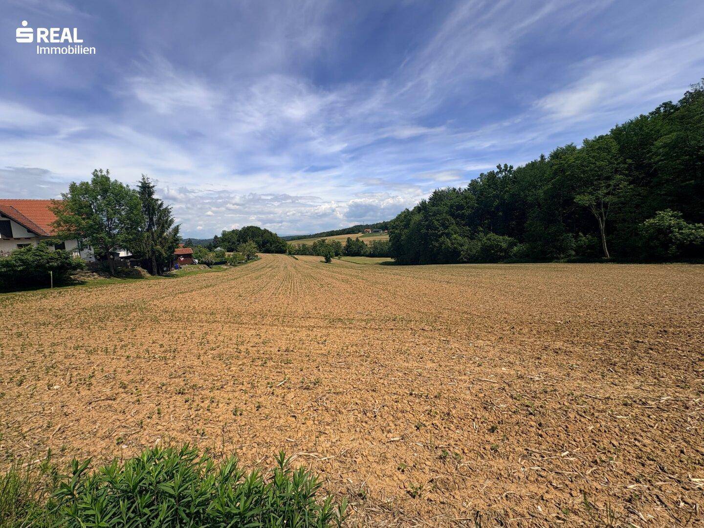 Bauernhof - Großes Anwesen mit schöner Ackerfläche, Wald und Wiese in sonniger Ruhelage - Mehr