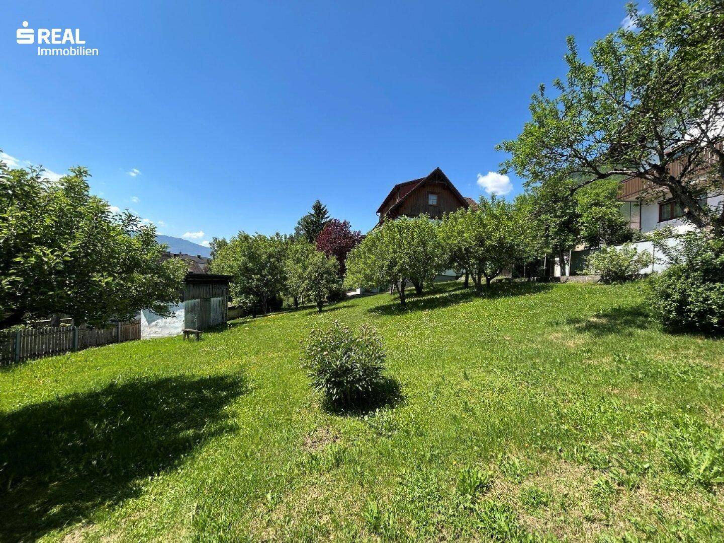 Sonniger Garten mit großer Rasenfläche, Obstbäumen und einem kleinen Gartenhaus.