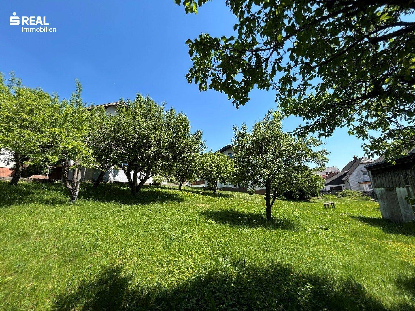 Großer Garten mit mehreren Obstbäumen und viel Platz für Freizeitaktivitäten im Freien.