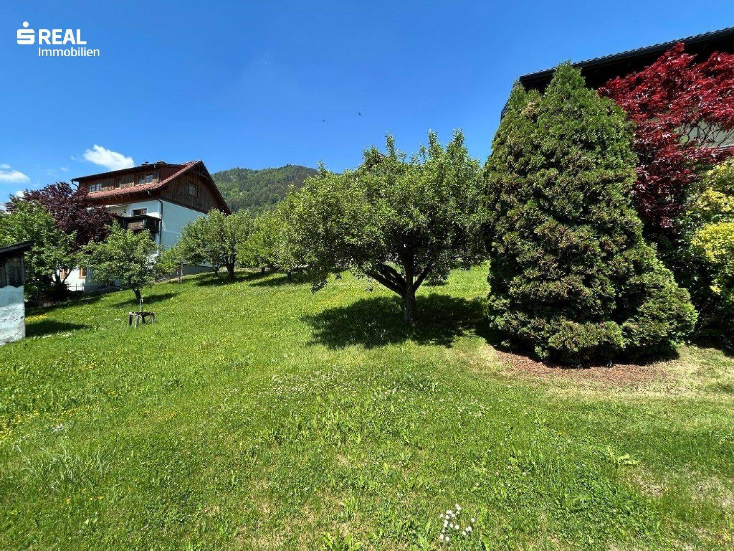 Gepflegter Garten mit vielfältiger Bepflanzung und sonnigen Rasenflächen.