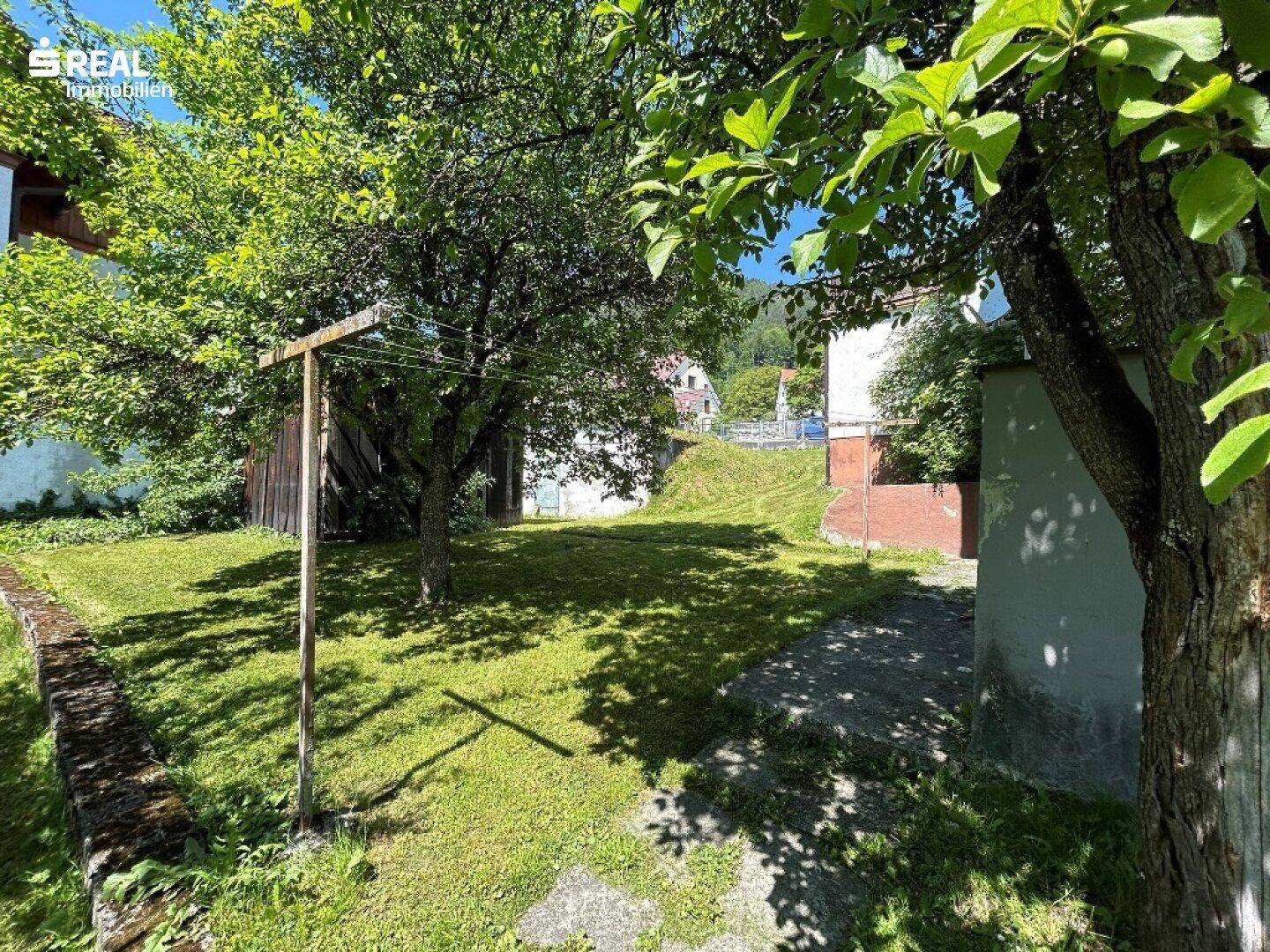 Naturbelassener Gartenbereich mit Rasen, Bäumen und einem Wäscheständer, ideal für Entspannung im Freien.