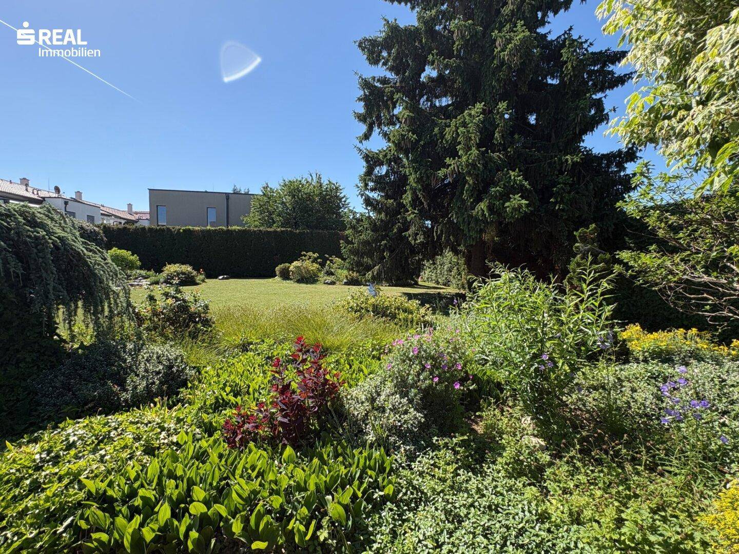 Üppiger, gepflegter Garten mit großer Rasenfläche, vielfältigen Sträuchern und hohen Bäumen.