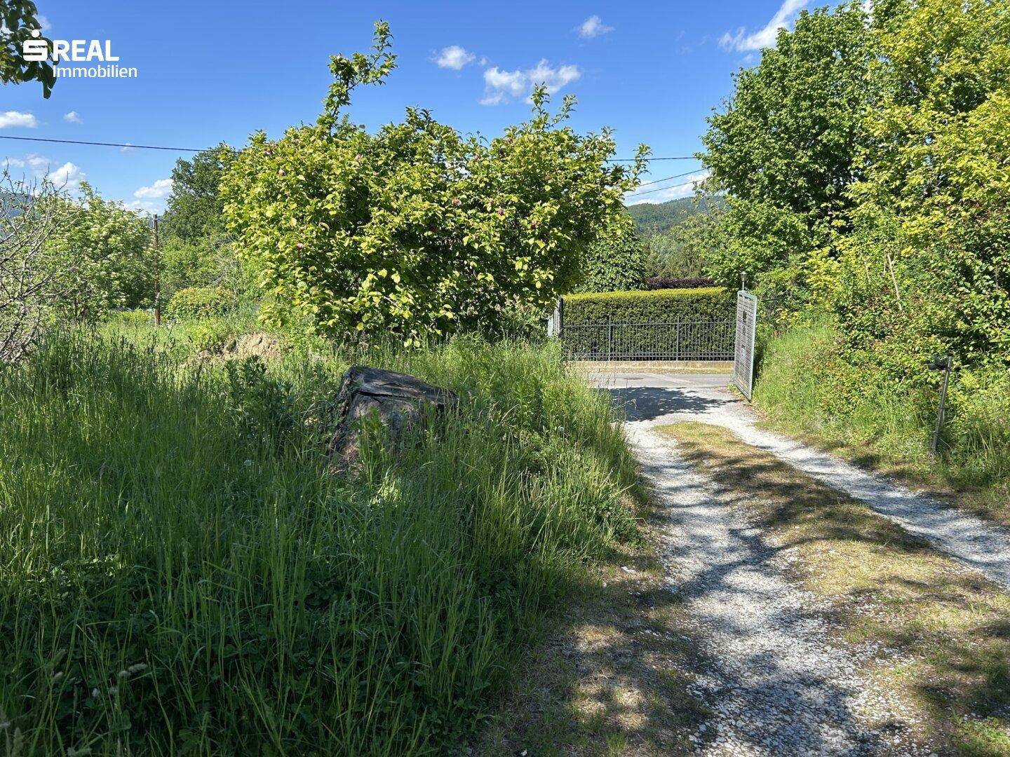 Großes Baugrundstück in Graz-Geidorf mit Altbestand - Ansicht 5