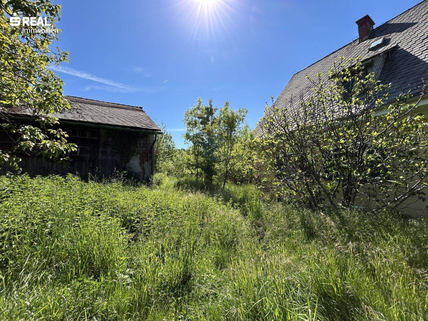 Blick auf den verwilderten Bereich zwischen dem Haupthaus und dem rustikalen Nebengebäude.