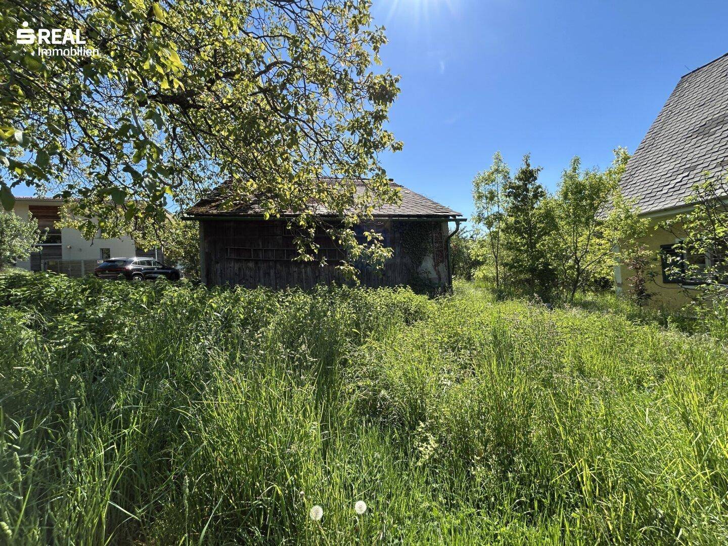 Ansicht des verwilderten Gartens mit hohem Gras und dem rustikalen Nebengebäude im Hintergrund.