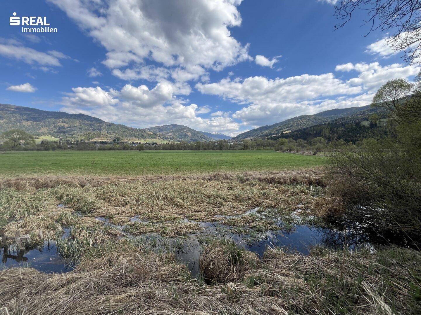 Feuchtgebiet mit Wasser und trockenem Gras, umgeben von grünen Wiesen und Bergen unter blauem Himmel.