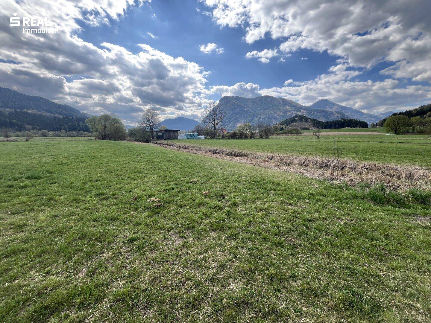 Weite grüne Wiesenfläche mit einem Graben und majestätischen Bergen im Hintergrund.