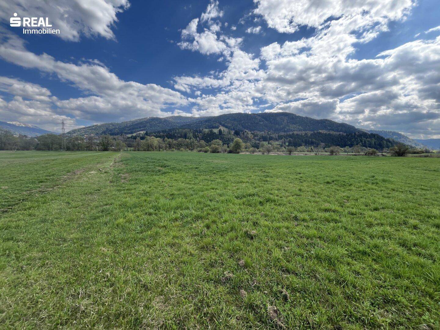 Ausgedehnte grüne Wiesenlandschaft mit einem großen bewaldeten Berg im Hintergrund.