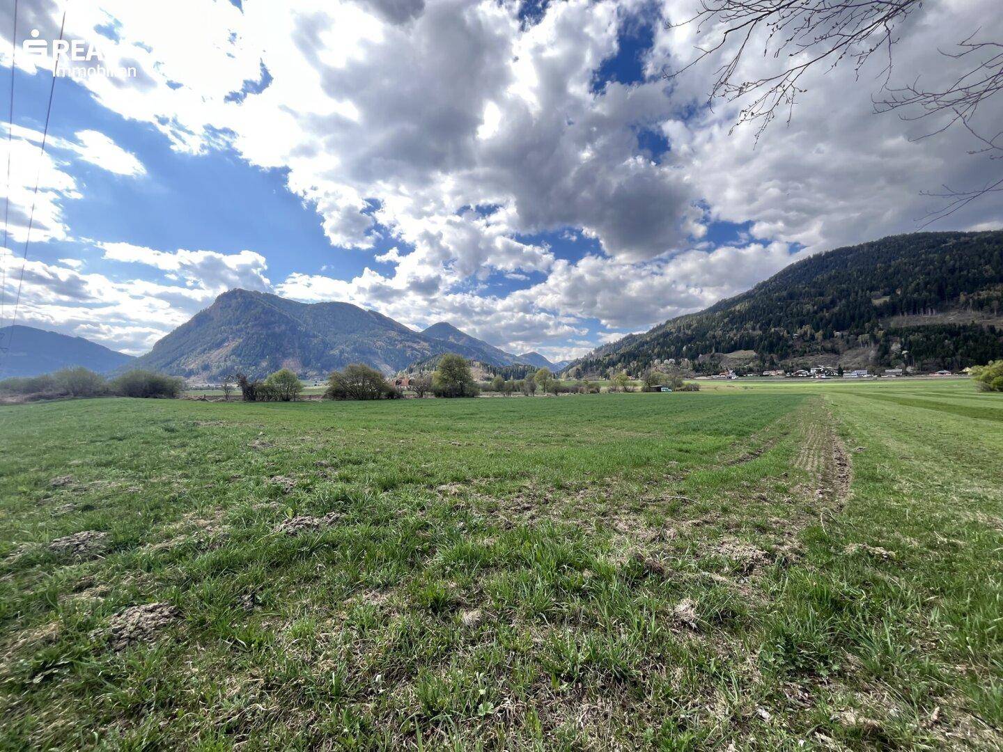Grüne Wiesen mit Bergen und Stromleitungen in der Ferne unter einem bewölkten Himmel.