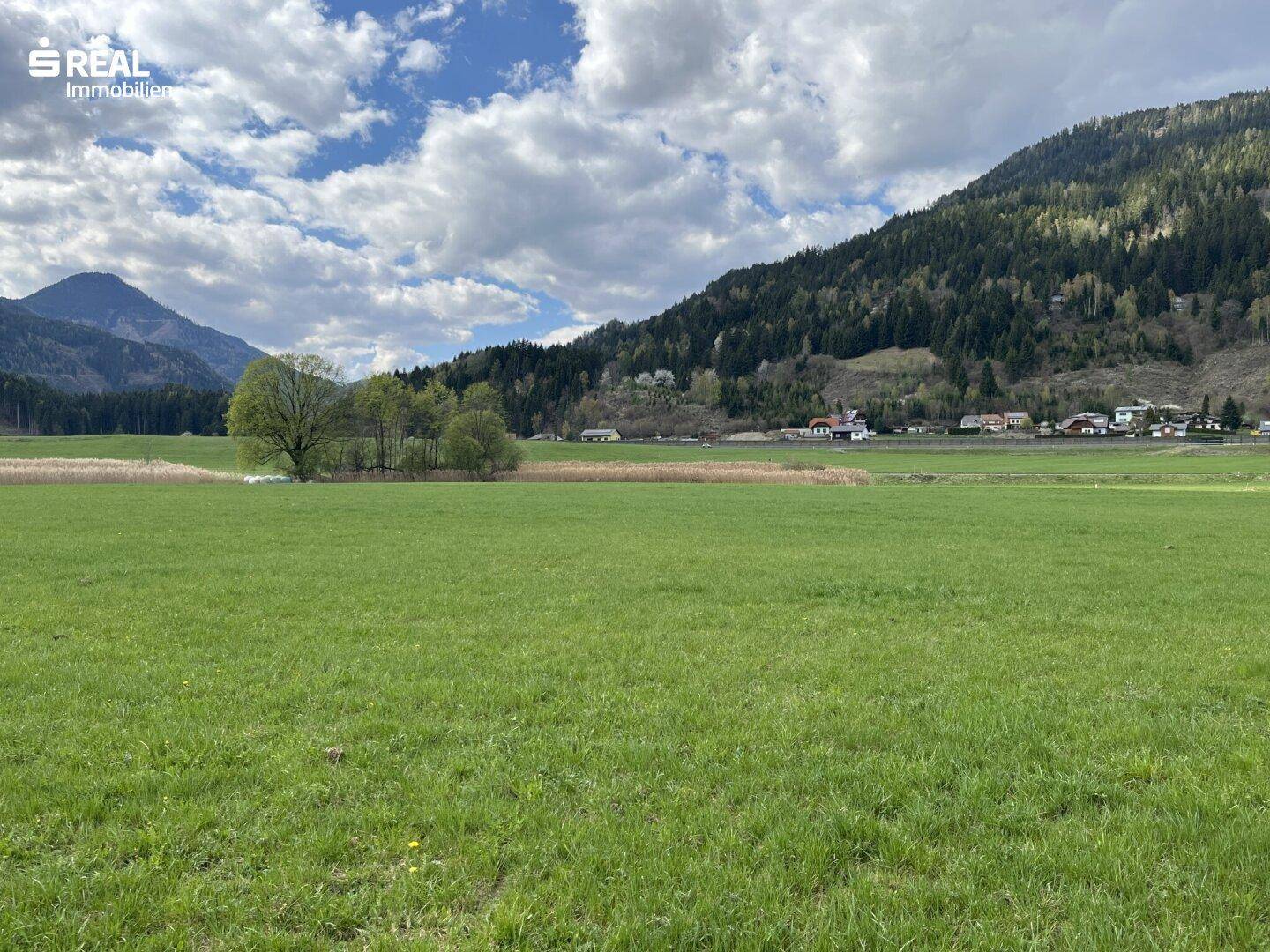 Ausgedehnte grüne Wiesenfläche mit Bäumen und Bergen unter einem teilweise bewölkten Himmel.