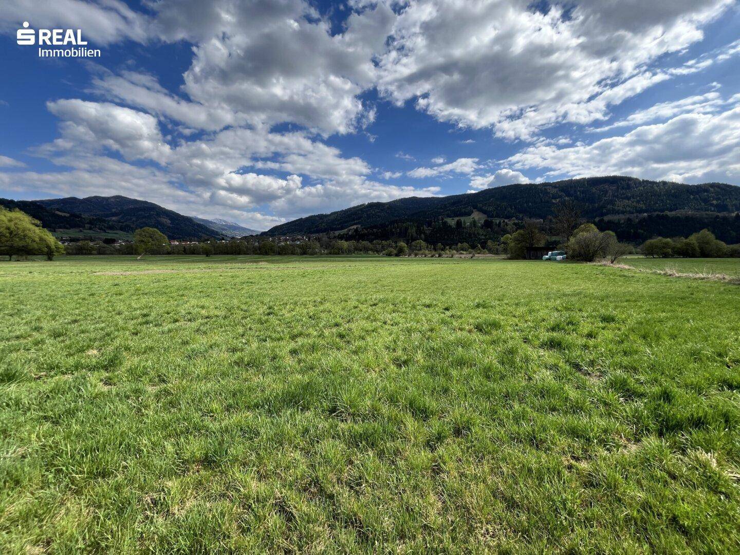 Weite grüne Wiesenlandschaft mit bewaldeten Bergen unter einem bewölkten Himmel.